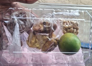 Menu MBG Kering untuk Anak TK di Tlagah Sampang Dikeluhkan Wali Murid, Dinilai Kurang Layak