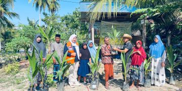 Warga Nibong Baroh Antusias Tanam Kelapa Hibrida, Dorong Kemandirian Ekonomi Lewat Program Penghijauan